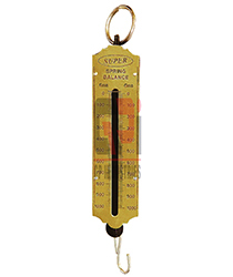 Spring Balance Metric 100gm