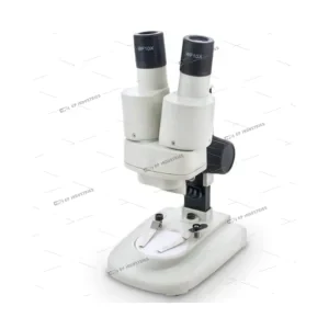 Stereo Microscope - Beginner