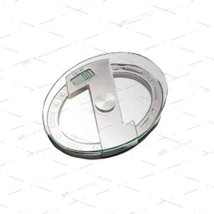 Electronic Personal Scale